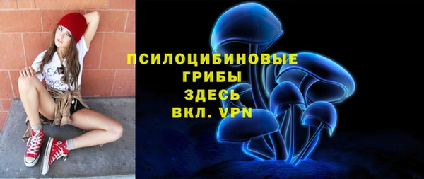 крисы Алексин