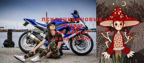 дмт Алзамай